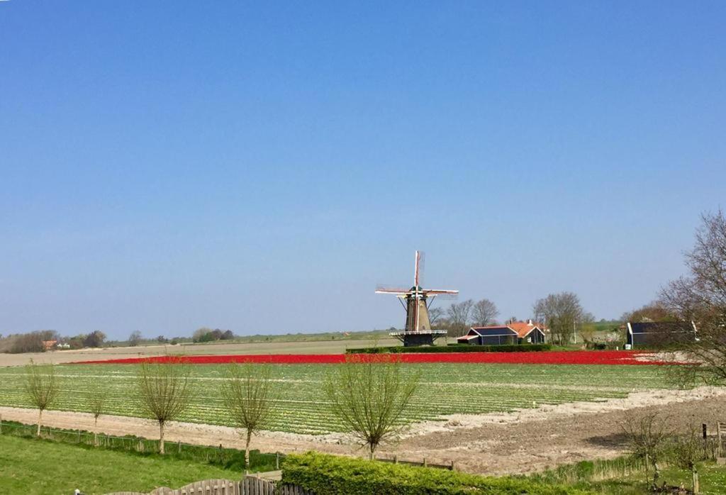 T Huuske Tuinappartement Met Fantastisch Uitzicht, Nabij Zee Zonnemaire Exterior foto