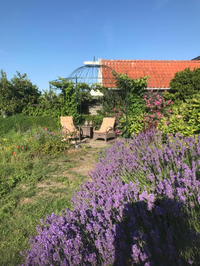 T Huuske Tuinappartement Met Fantastisch Uitzicht, Nabij Zee Zonnemaire Exterior foto